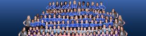 large group shot of gymnasts